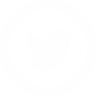 Twitter Logo